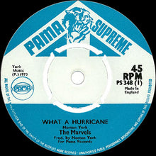 Load image into Gallery viewer, The Marvels : What A Hurricane (7&quot;, Single)
