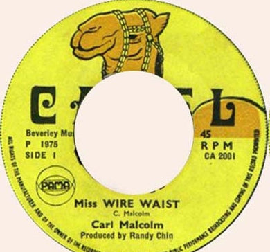 Carl Malcolm / Skin Flesh & Bone* : Miss Wire Waist / Wire Dub (7