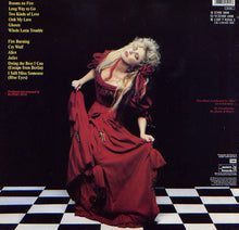 Load image into Gallery viewer, Stevie Nicks : The Other Side Of The Mirror (LP, Album)
