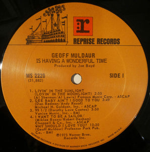 Geoff Muldaur : Is Having A Wonderful Time (LP, Album)