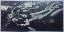 Load image into Gallery viewer, Steely Dan : Pretzel Logic (LP, Album, Gat)
