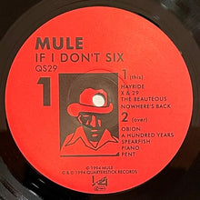 Load image into Gallery viewer, Mule : If I Don&#39;t Six (LP, Album)
