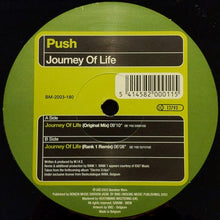 Load image into Gallery viewer, Push : Journey Of Life (12&quot;)
