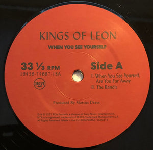 Kings Of Leon : When You See Yourself (2xLP, Album, 180)