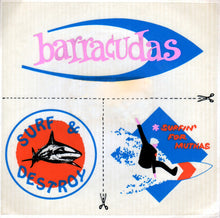 Load image into Gallery viewer, Barracudas : Summer Fun (7&quot;, Single)
