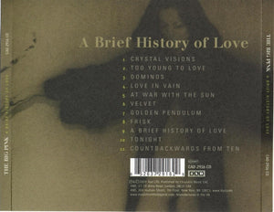 The Big Pink : A Brief History Of Love (CD, Album)