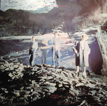 Load image into Gallery viewer, Echo &amp; The Bunnymen : Silver (Tidal Wave) (12&quot;, DAM)
