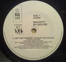 Load image into Gallery viewer, Naughty By Nature : Hip Hop Hooray (7&quot;)
