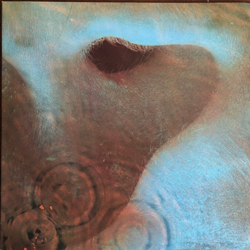 Pink Floyd : Meddle (LP, Album, RP)