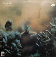 Load image into Gallery viewer, Steely Dan : Katy Lied (LP, Album, RP)
