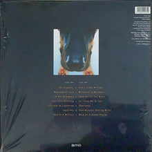 Load image into Gallery viewer, Big Country : Why The Long Face (LP, Album, RSD, Ltd, Tur)
