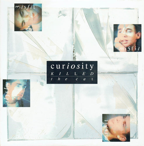 Curiosity Killed The Cat : Misfit (12