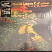 Load image into Gallery viewer, David Callahan : Down To The Marshes (LP, Album)
