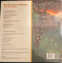 Load image into Gallery viewer, David Callahan : Down To The Marshes (LP, Album)
