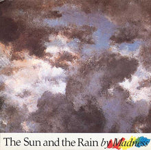 Load image into Gallery viewer, Madness : The Sun And The Rain (7&quot;, Single)
