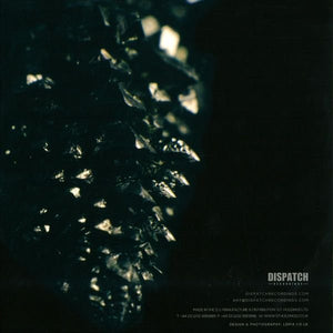 DLR (3) / Survival & Silent Witness : Transit 2 (Plate 2) (12")