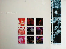 Load image into Gallery viewer, Startled Insects : Curse Of The Pheromones (LP, Album)
