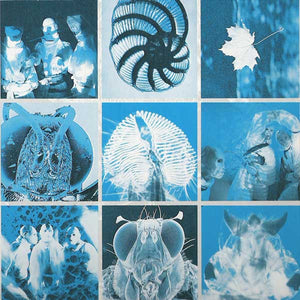 Startled Insects : Curse Of The Pheromones (LP, Album)