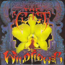 Load image into Gallery viewer, The Cult : Wild Flower (2x7&quot;, Single, Gat)
