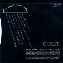 Load image into Gallery viewer, The Cult : Rain (7&quot;, Single)
