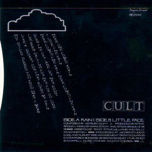 The Cult : Rain (7", Single)