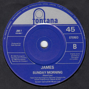 James : Lose Control (7", Single)