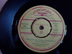 Ray O'Daniel : What Goes Up Always Comes Down / You're The Only Love For Me (7", Single)