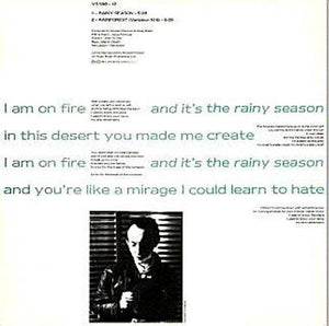 Howard Devoto : Rainy Season (12", Single)