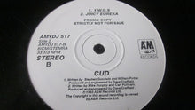 Load image into Gallery viewer, Cud : Neurotica (12&quot;, Promo)
