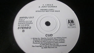 Cud : Neurotica (12", Promo)