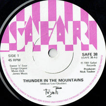 Load image into Gallery viewer, Toyah (3) : Thunder In The Mountains (7&quot;, Single)
